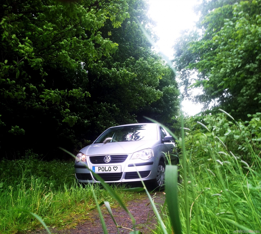 ... Ausflug in den Wald ...