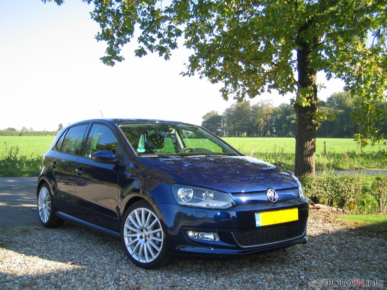 polo 6r bluemotion